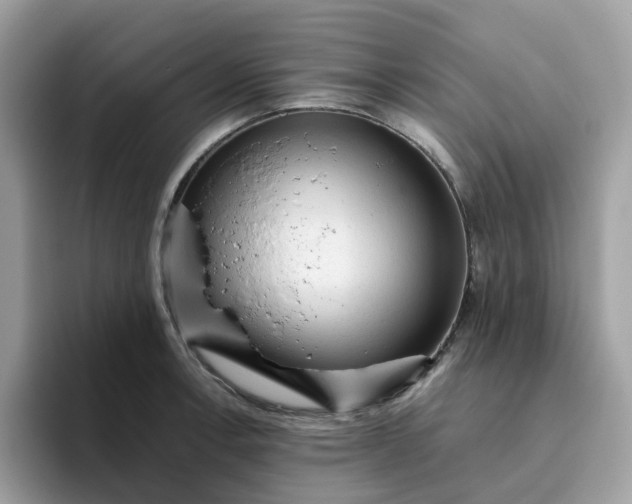 X0000095951138200801251125