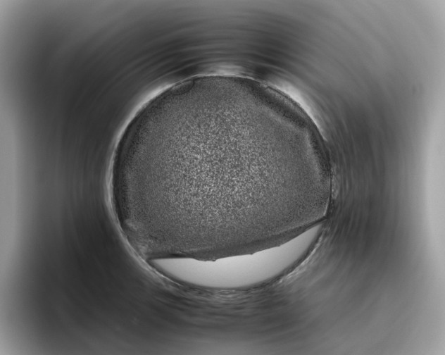 X0000095951139200801251125