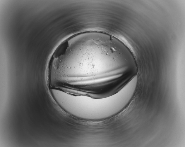 X0000095951140200801251125