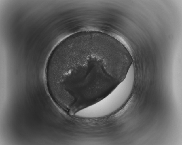 X0000095951141200801251125