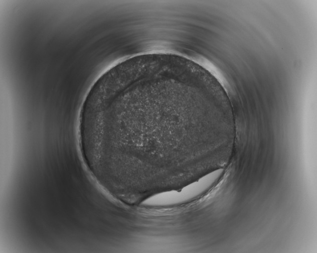 X0000095951142200801251125