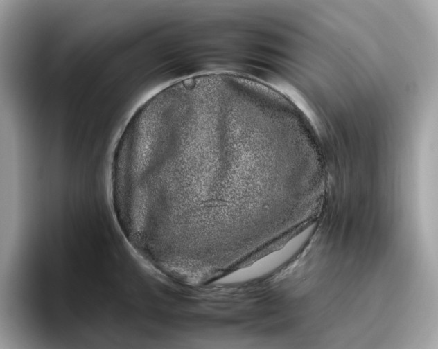 X0000095951143200801251125