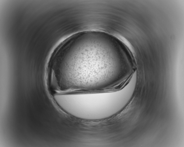 X0000095951144200801251125