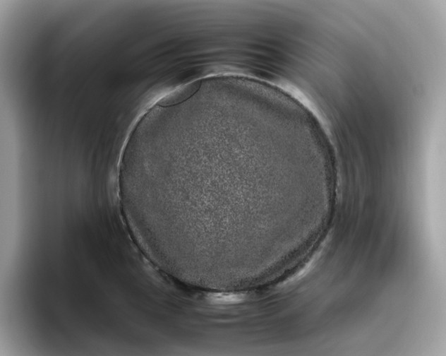 X0000095951145200801251125