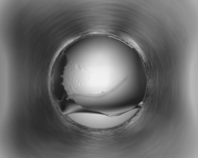 X0000095951146200801251125