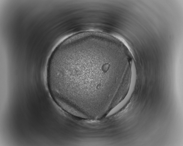 X0000095951147200801251125