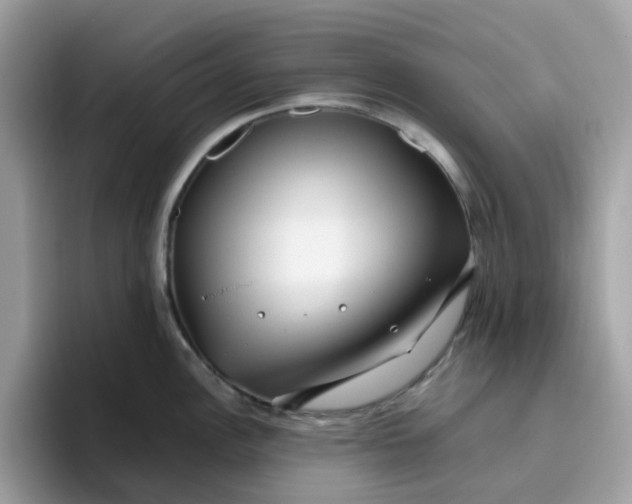 X0000095951148200801251125