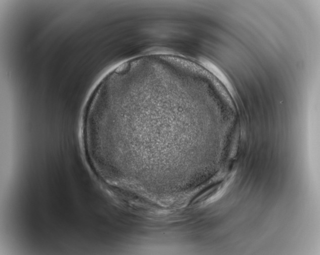 X0000095951149200801251125