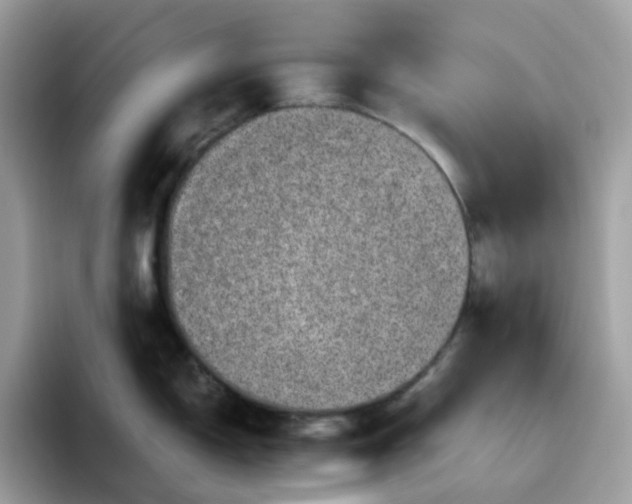 X0000095951150200801251125