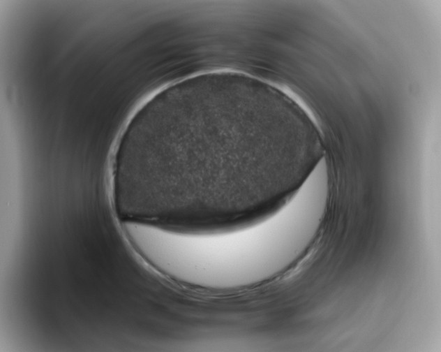 X0000095951151200801251125