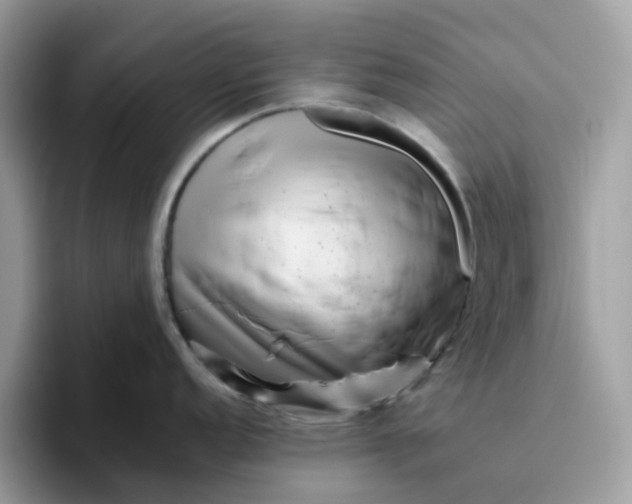 X0000095951152200801251125