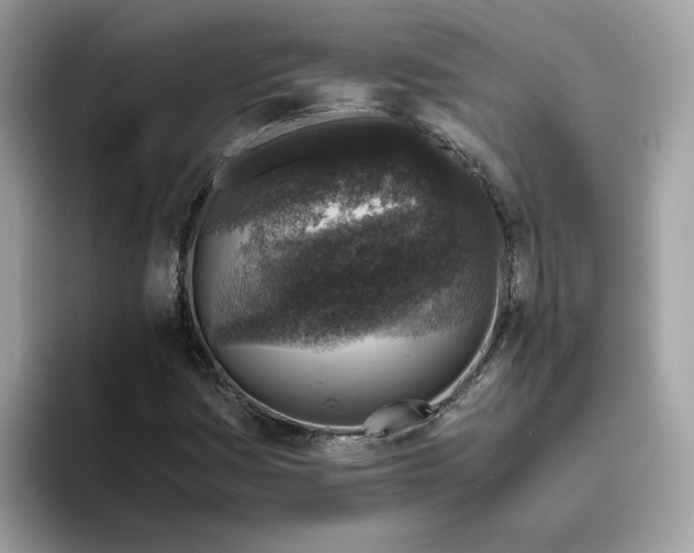 X0000095951161200801251124