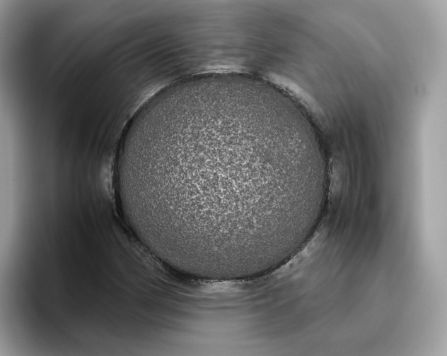 X0000095951162200801251124