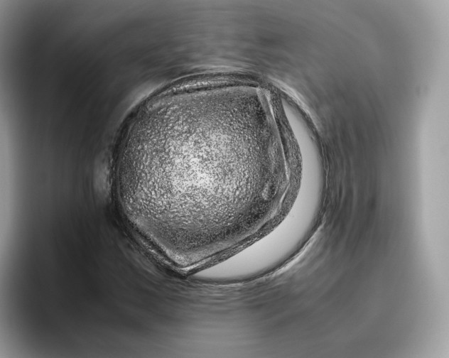 X0000095951163200801251124