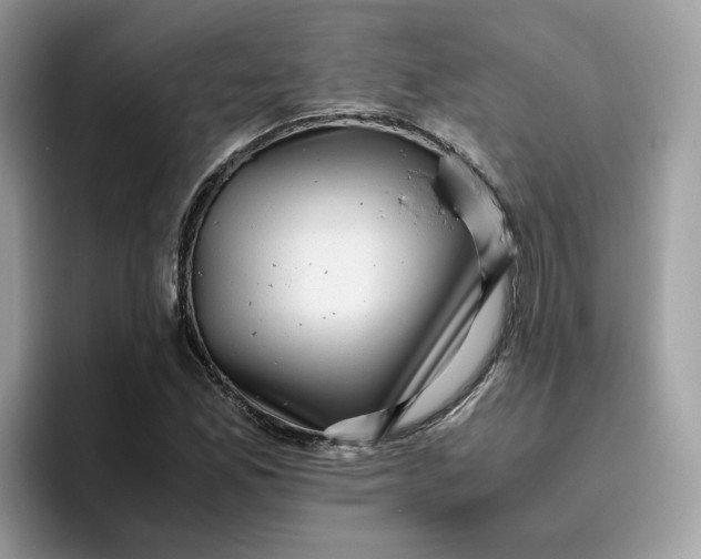 X0000095951165200801251124