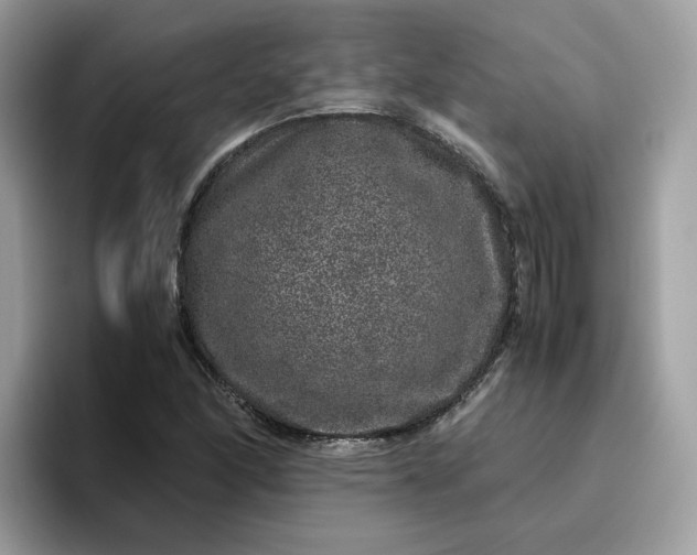 X0000095951166200801251124