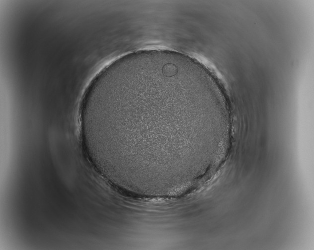 X0000095951167200801251124