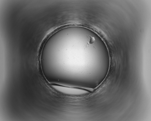 X0000095951168200801251124