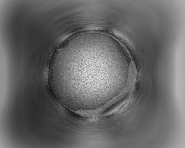 X0000095951169200801251124