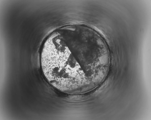 X0000095951171200801251124