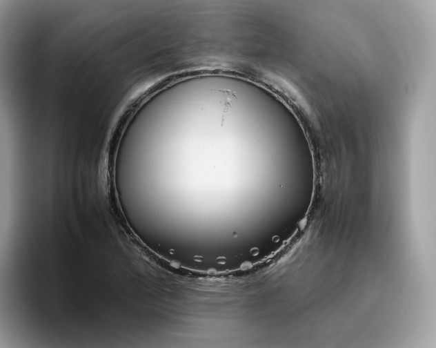 X0000095951172200801251124