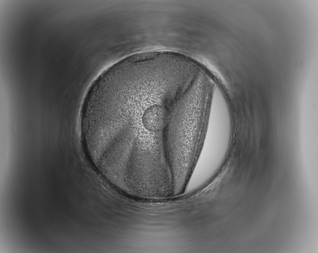 X0000095951173200801251124