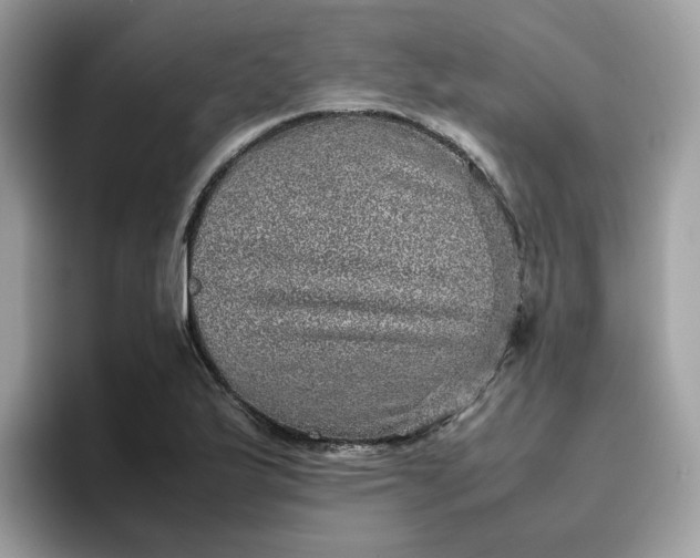 X0000095951175200801251124