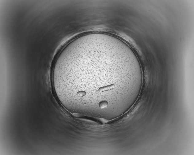 X0000095951176200801251124