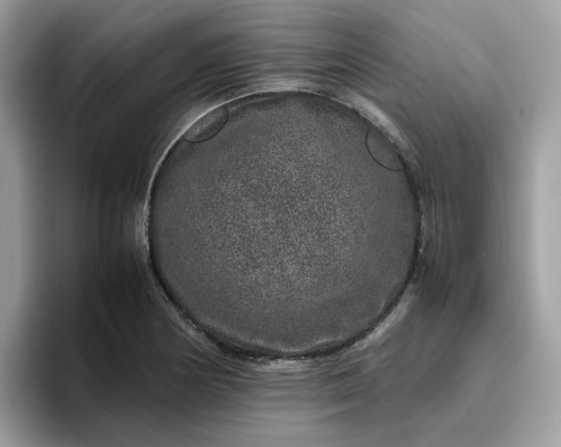 X0000095951178200801251124