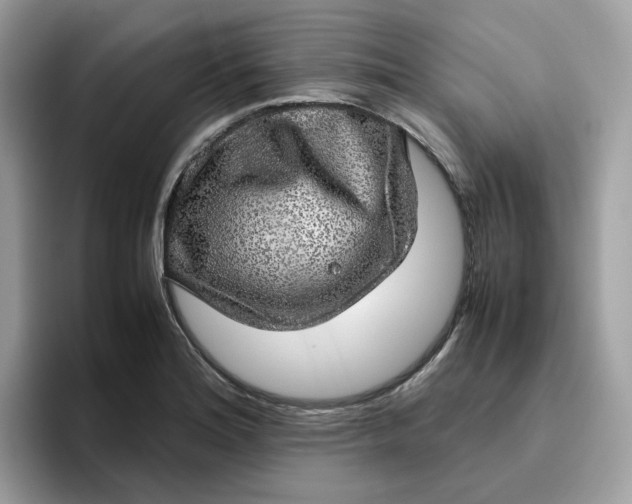 X0000095951180200801251124