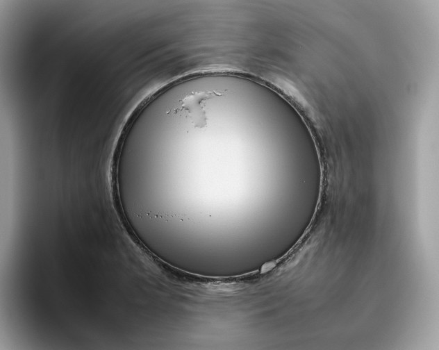 X0000095951181200801251124