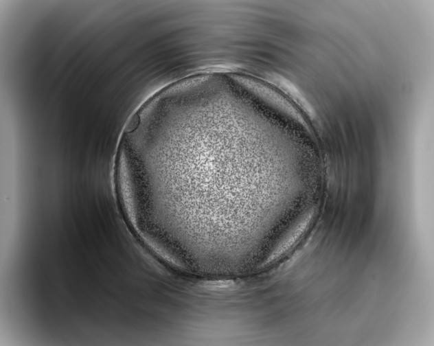 X0000095951186200801251124