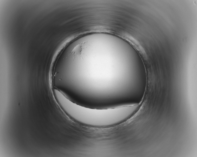 X0000095951188200801251124