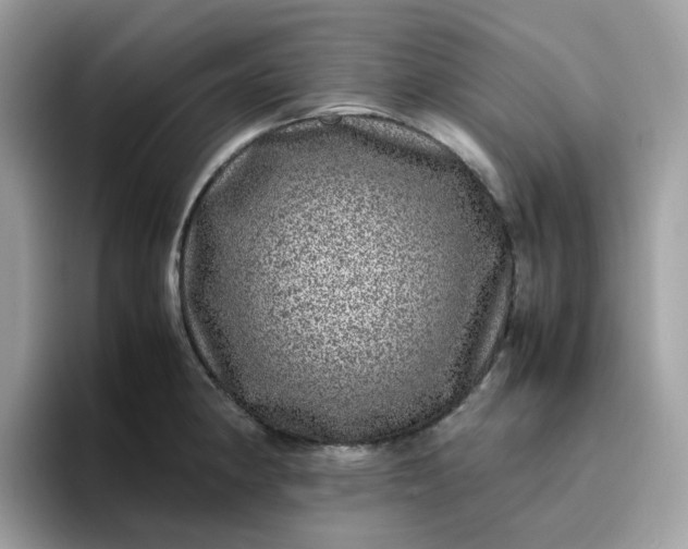 X0000095951190200801251124