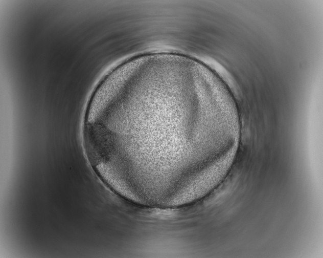 X0000095951191200801251124