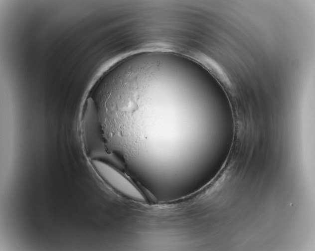 X0000095951192200801251124