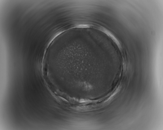 X0000095951194200801251124