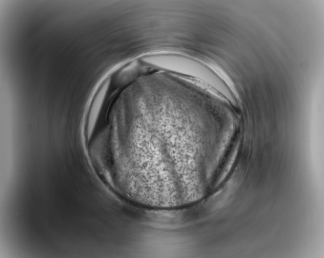 X0000095951197200801251124