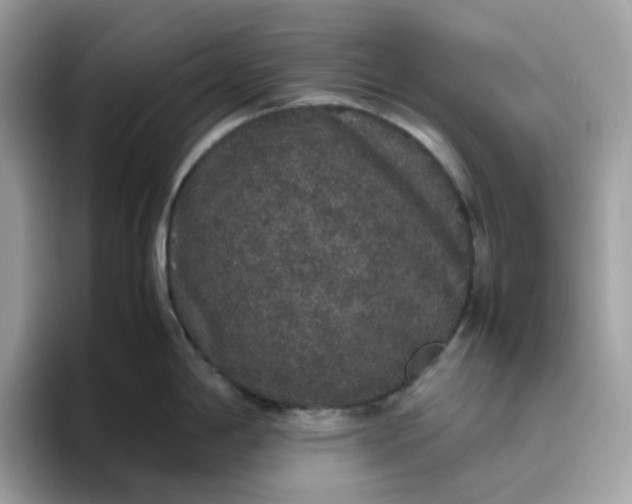 X0000095951198200801251124