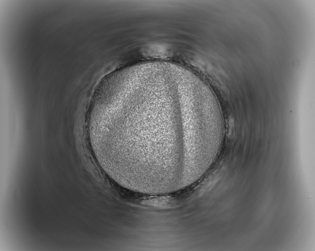 X0000095951201200801251123