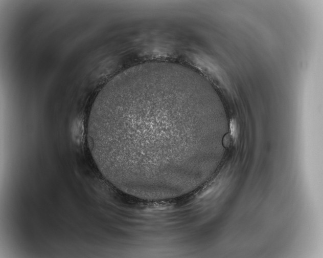 X0000095951203200801251123