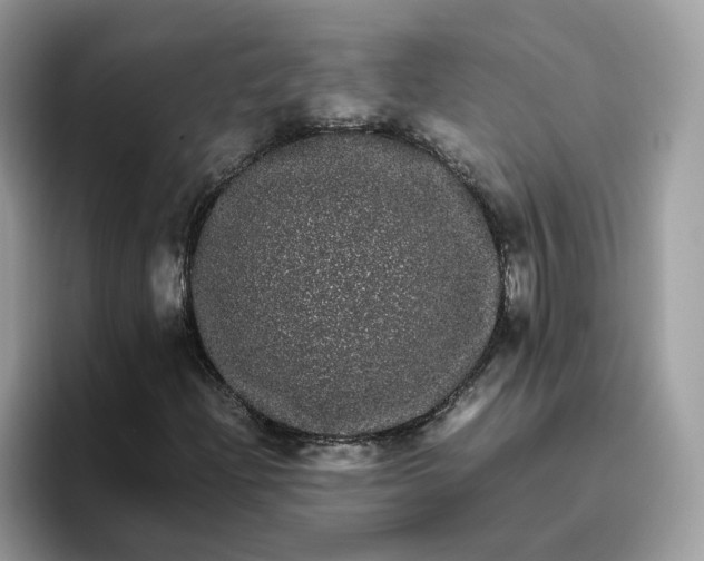 X0000095951204200801251123