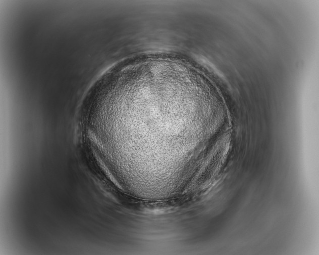 X0000095951208200801251123