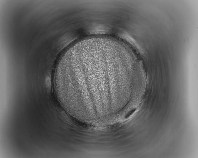 X0000095951209200801251123