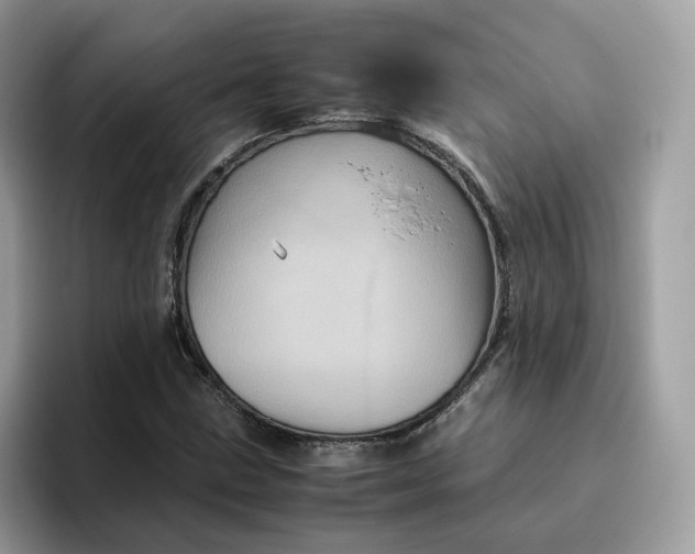 X0000095951211200801251123