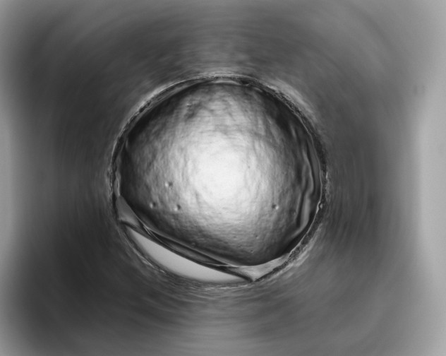 X0000095951212200801251123