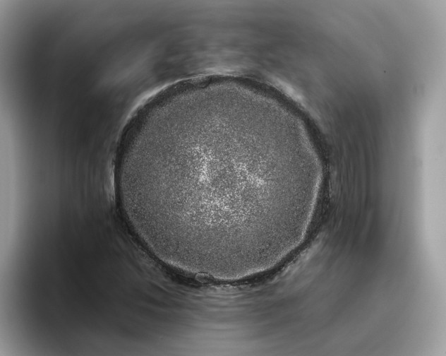 X0000095951214200801251123