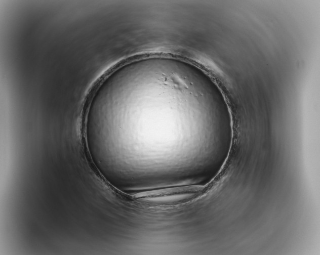 X0000095951216200801251123