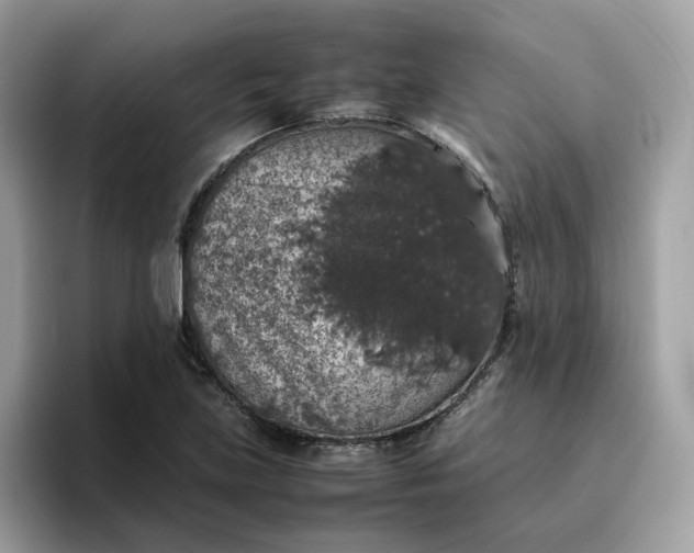 X0000095951219200801251123