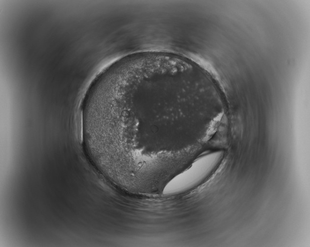 X0000095951223200801251123